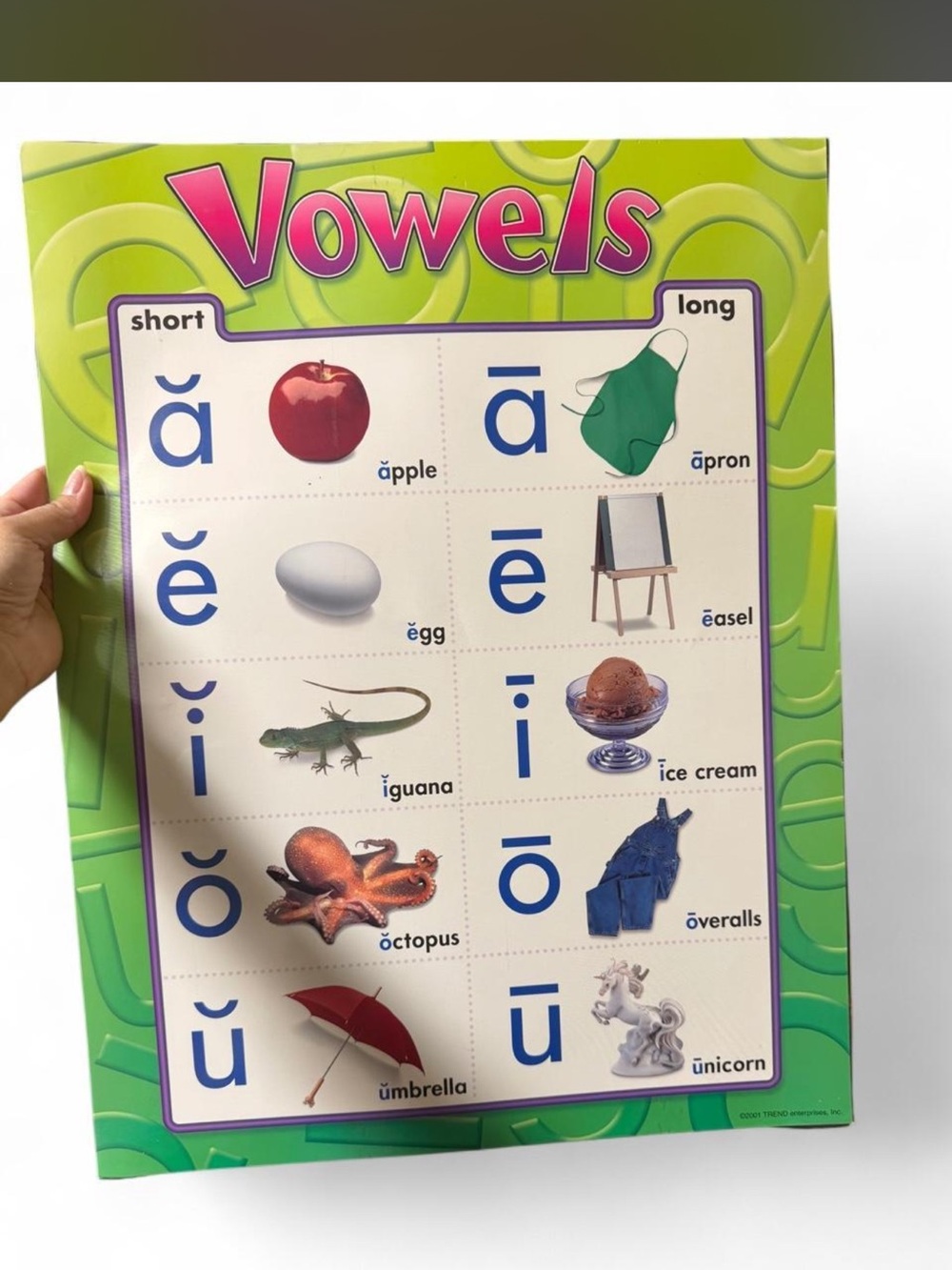 Vowels Educational Wall Chart